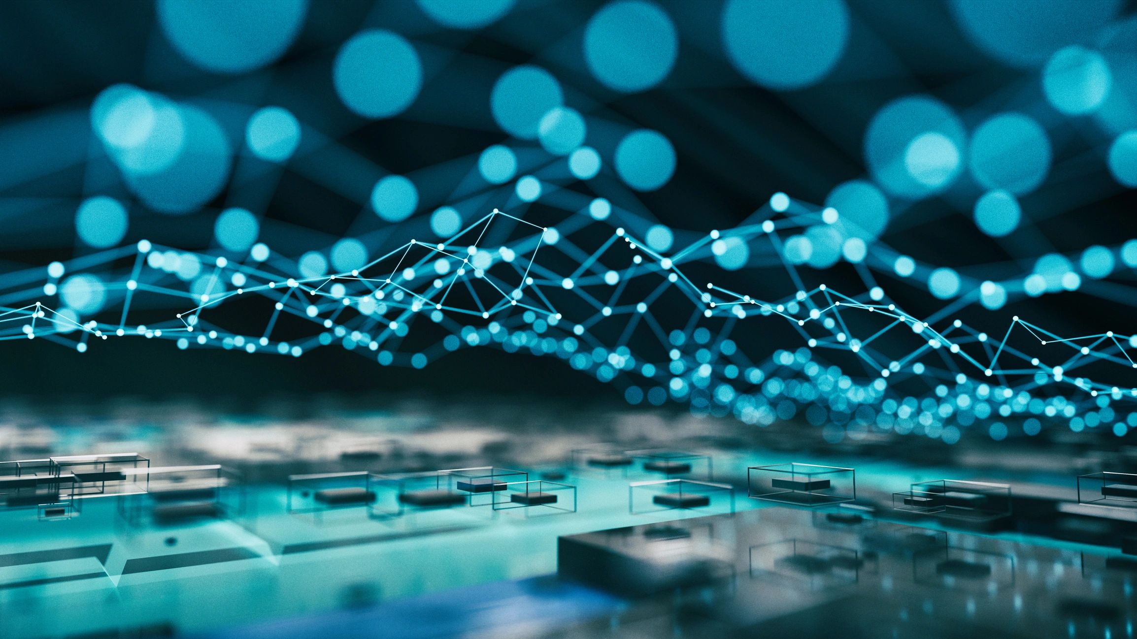 blockchain ecosystem network